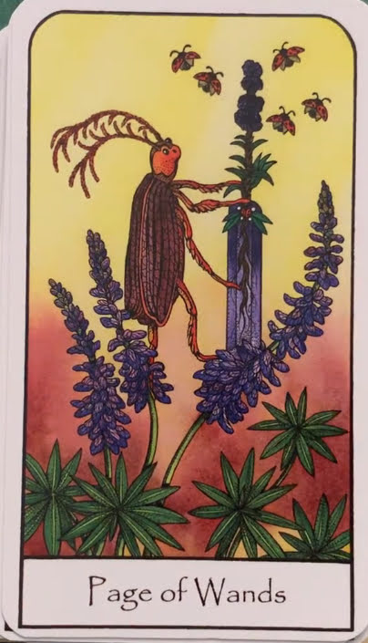 Nature Spirit Tarot